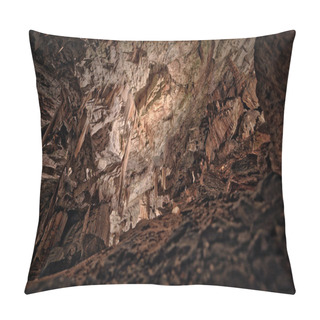 Personality  Postojna Grotte In Slovenia Pillow Covers