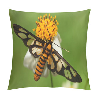 Personality  Transparent Wing Of A Cute Insect Pillow Covers