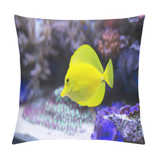 Personality  Yellow Tang Fish In Aquarium Pillow Covers