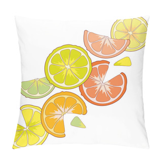 Personality  Juicy Citrus Lime Orange Lemon Grapefruit Slices. Pillow Covers