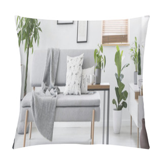 Personality  Grey Lounge With Blanket And Pillows Standing In Real Photo Of White Living Room Interior With Fresh Plants Pillow Covers