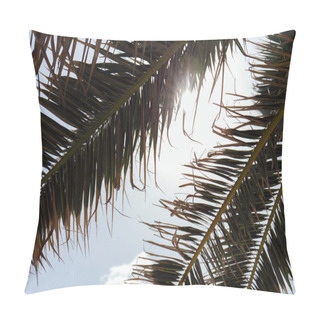 Personality  Bottom View Of Branches Of Palm Tree With Sunlight And Blue Sky At Background Pillow Covers