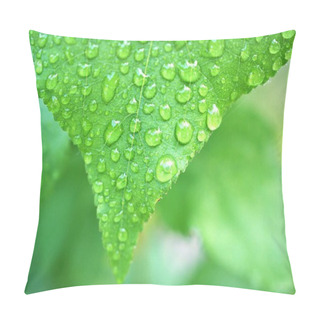 Personality  Water Drops On Green Leaf With Blurred Background , Rain Drops On Leaves , Dew On Plant ,macro Image ,soft Focus For Card Design Pillow Covers
