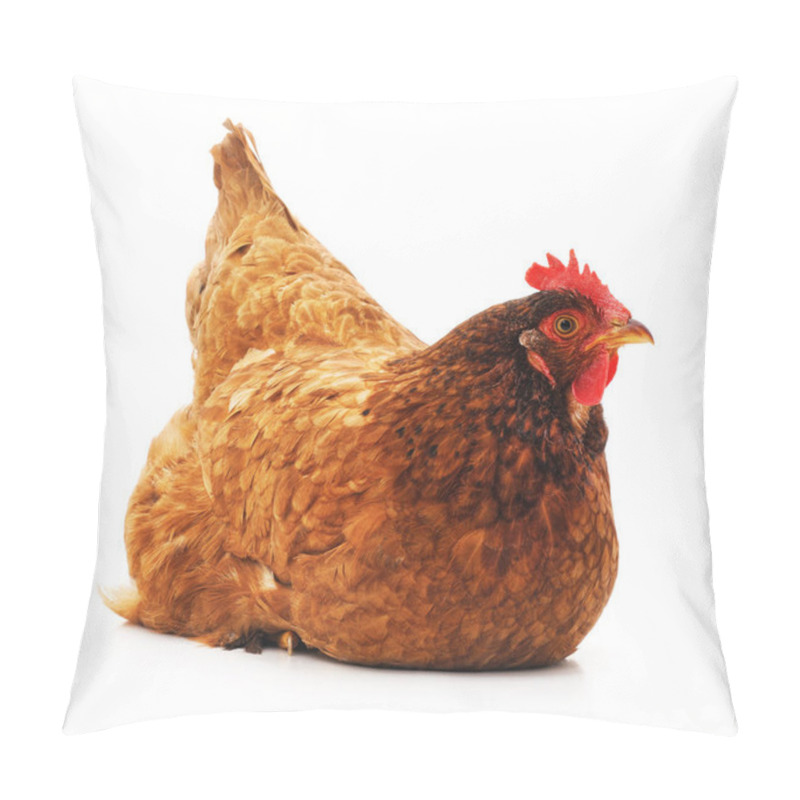 Personality  Young Brown Chicken. Pillow Covers