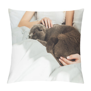 Personality  Cropped View Of Young Woman Stroking Scottish Fold Cat In Bed Pillow Covers