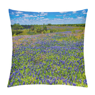Personality  A Wide Angle View Of A Beautiful Field Of Texas Wildflowers. Pillow Covers