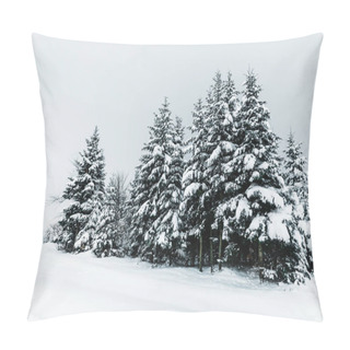 Personality  Road In Carpathian Mountains Covered With Snow Among Spruces  Pillow Covers