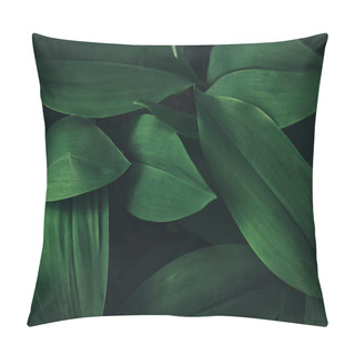 Personality Full Frame Image Of Plant Leaves Background  Pillow Covers