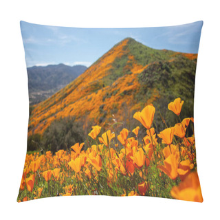 Personality  Wildflower Super Bloom Phenomenon In California. Thousands Of Orange Poppy Flowers Bloom At The Same Time. Pillow Covers