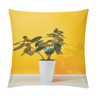 Personality  Houseplant With Green Leaves In White Flowerpot Near Yellow Wall Pillow Covers