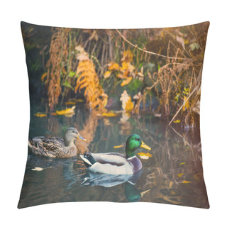 Personality  Photo Of Two Wild Ducks Pillow Covers