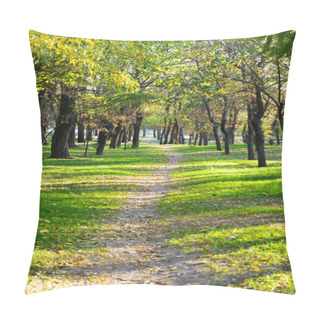 Personality  Beautiful Autumn Park Pillow Covers