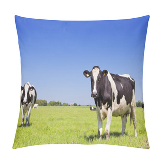 Personality  Cows In A Fresh Grassy Field On A Clear Day Pillow Covers
