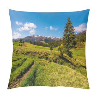 Personality  Rural Are In Carpathian Mountains In Springtime. Lovely Scenery With Rural Fields Between Forest And Village Outskirts Pillow Covers