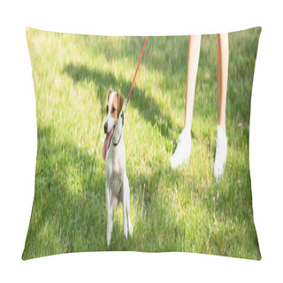 Personality  Panoramic Crop Of Young Woman Keeping Jack Russell Terrier Dog On Leash Pillow Covers