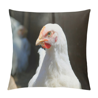 Personality  Broiler Pillow Covers