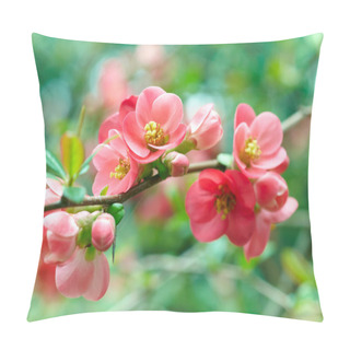 Personality  Spring Blossoms Pillow Covers
