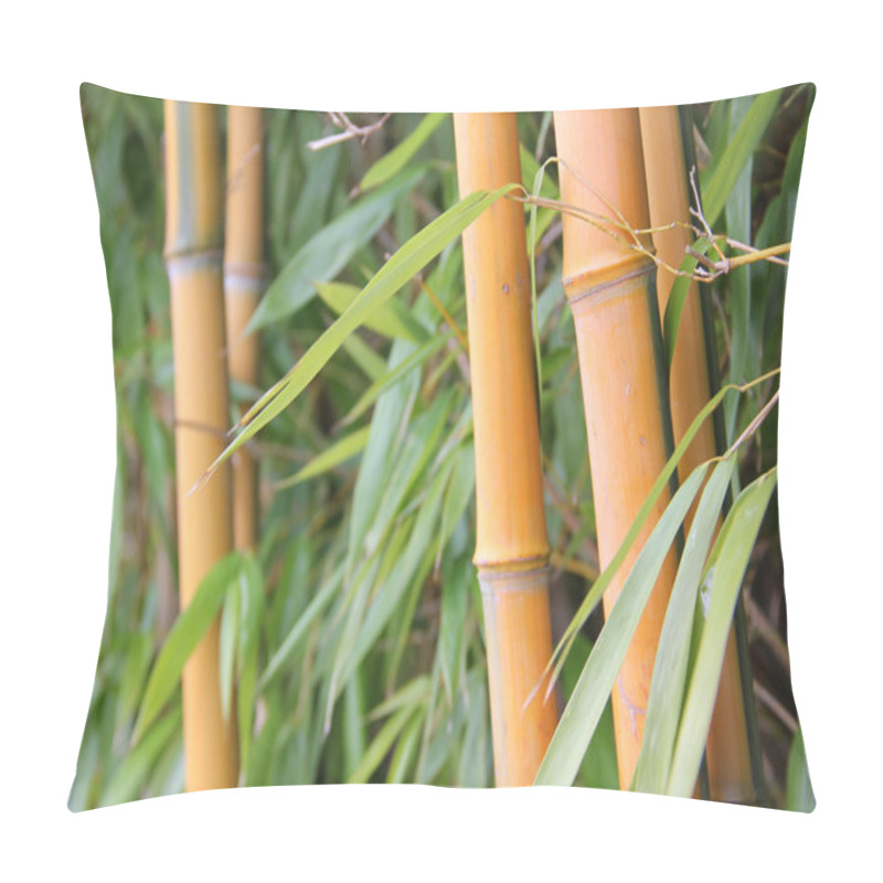 Personality  Bamboo cane and leaves pillow covers