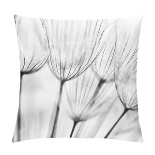 Personality Abstract Dandelion Flower Background Pillow Covers