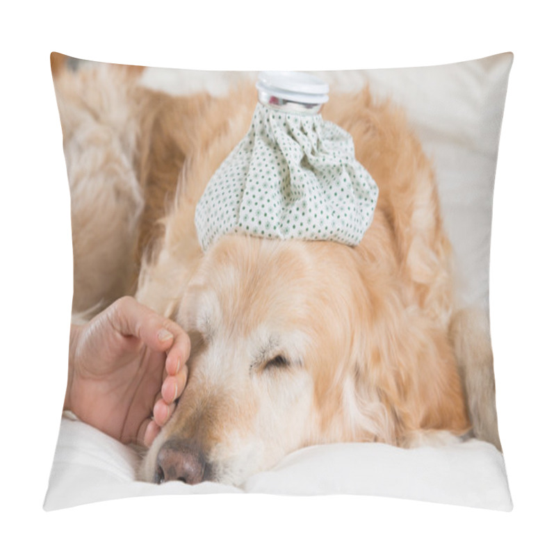 Personality  Golden Retriever dog cold pillow covers