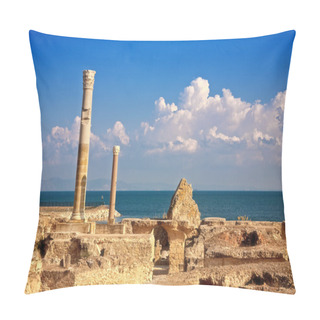 Personality  Ruins Of Antonine Baths At Carthage, Tunisia Pillow Covers