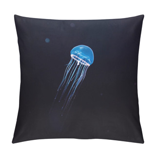 Personality  Beautiful Jellyfish, Medusa In The Neon Light With The Fishes. A Pillow Covers