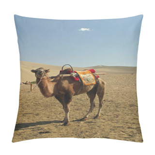 Personality  Camel In Mingsha Shan (Echo Sand Mountain) In Dunhuang, China Pillow Covers