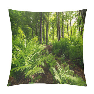 Personality  View Of The Forest Pillow Covers