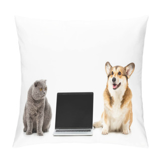 Personality  Studio Shot Of Grey British Shorthair Cat And Welsh Corgi Pembroke Sitting Near Laptop With Blank Sreen Isolated On White Background  Pillow Covers