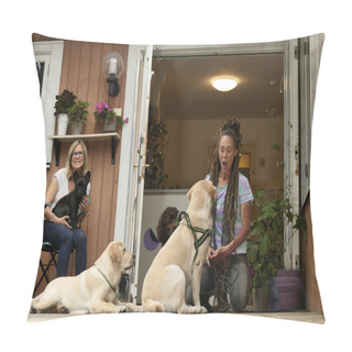 Personality  Stockholm, Sweden A Daycare Center For Dogs And Their Trainers Or Keepers, Pillow Covers