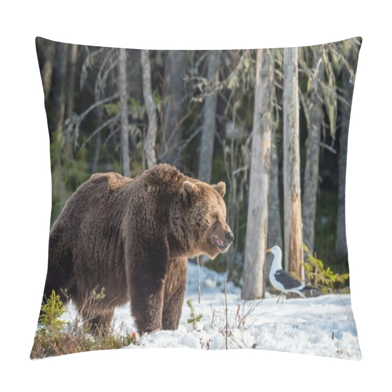 Personality  Brown Bear on snow-covered swamp pillow covers