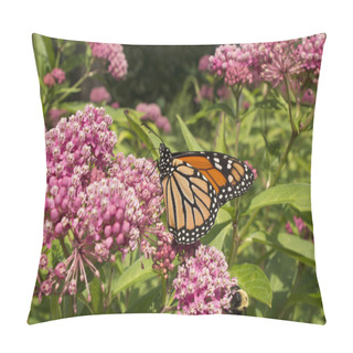 Personality  Monarch Butterfly And Bumble Bee Pollinate Garden Milkweed Flowers Pillow Covers