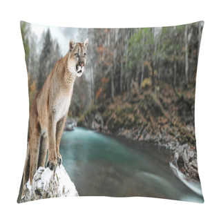 Personality  Portrait Of A Cougar, Mountain Lion, Puma, Panther, Gorge Of The Mountain River Pillow Covers