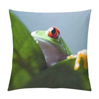 Personality  Frog Shadow Pillow Covers