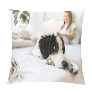 Personality  Selective Focus Of Cute Little Puppy Lying On Bed Pillow Covers