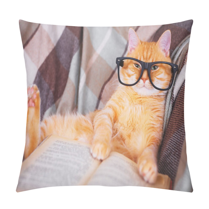 Personality  Red cat in glasses lying on sofa with book pillow covers