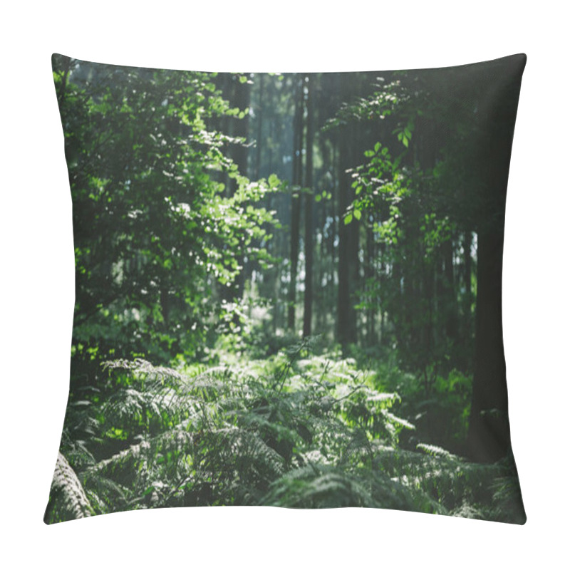 Personality  trees in beautiful forest under sunlight in Hamburg, Germany  pillow covers