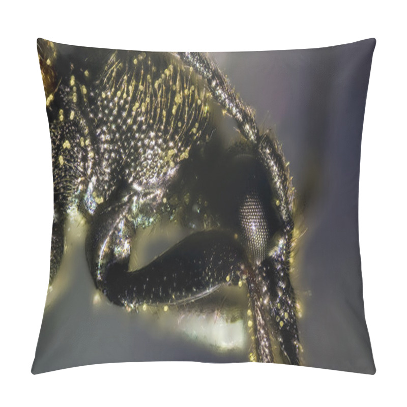Personality  Beetle Pillow Covers