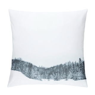 Personality  Clear Sky And Trees Covered With Snow In Carpathian Mountains Pillow Covers