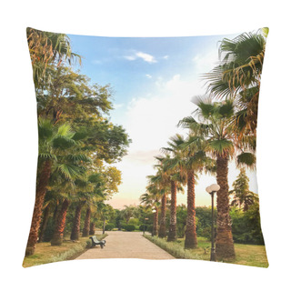 Personality  Alley With Palm Trees And A Skmeyk In The Park Of Southern Cultures, Adler, Sochi, Russia. Pillow Covers