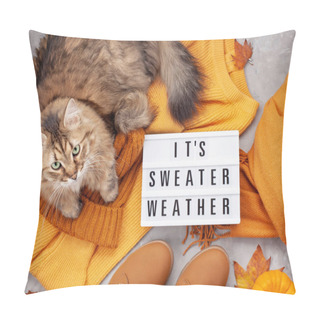 Personality  Flat Lay With Comfort Outfit For Cold Weather. Cute Fluffy Cat. Lightbox With Text It's Sweater Weather. Autumn, Winter Clothes Shopping, Sale, Style In Trendy Colors Concept Pillow Covers