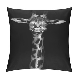 Personality  Giraffe In Black And White Pillow Covers