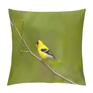 Personality  American Goldfinch Bird In A Natura Perch Pillow Covers