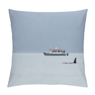 Personality  Orcas In Juneau Pillow Covers
