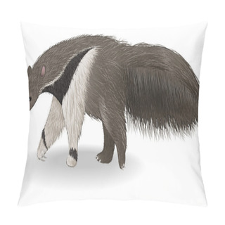 Personality  Cute Anteater Isolated On White Background Pillow Covers