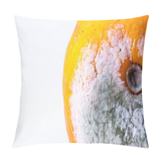 Personality  Green Mold On Orange Pillow Covers