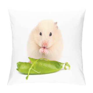 Personality  Hamster Isolated On White Background Pillow Covers