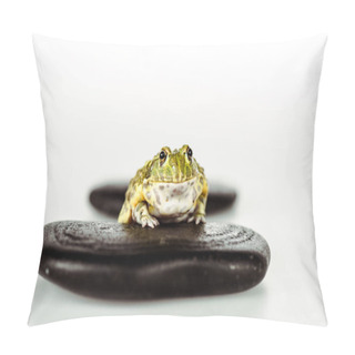 Personality  Selective Focus Of Cute Green Frog On Black Stones Isolated On White Pillow Covers