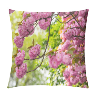 Personality  Pink Flowers Of Sakura Branches Pillow Covers