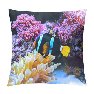 Personality  Indian Ocean Pillow Covers